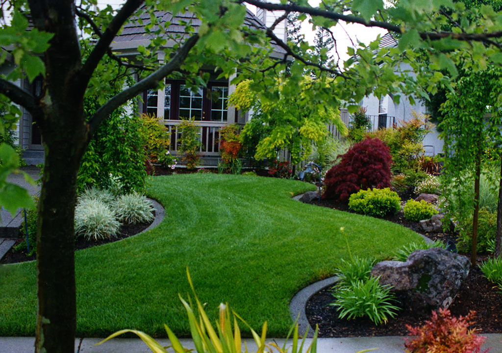 Expert landscaping services in Hartford